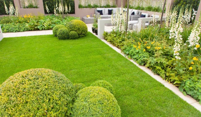 Top 5 Perks of Using a Professional Landscaping Service