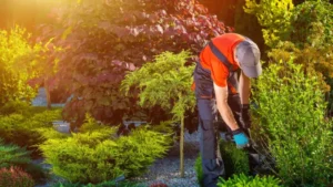 Landscaping Services in Kent: What to Expect and How to Prepare